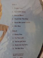Buddy Holly-2