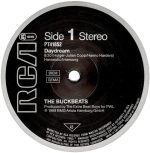 The Buckbeats*-2