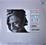 Robert Palmer-1