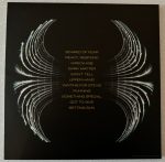 Pearl Jam-2