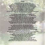 Die Fantastischen Vier-4