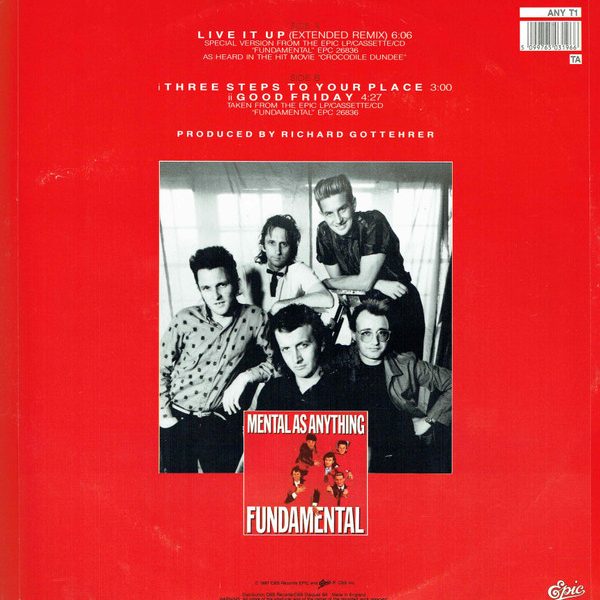 Mental As Anything-1