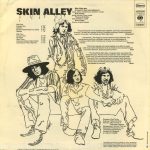 Skin Alley-1