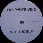 Dolphin's Mind-0