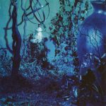 Enya-4