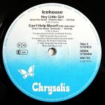 Icehouse-3