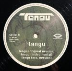 Tengu-1