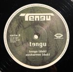 Tengu-2