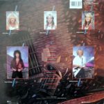 McAuley Schenker Group-3