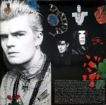 The Cult-2