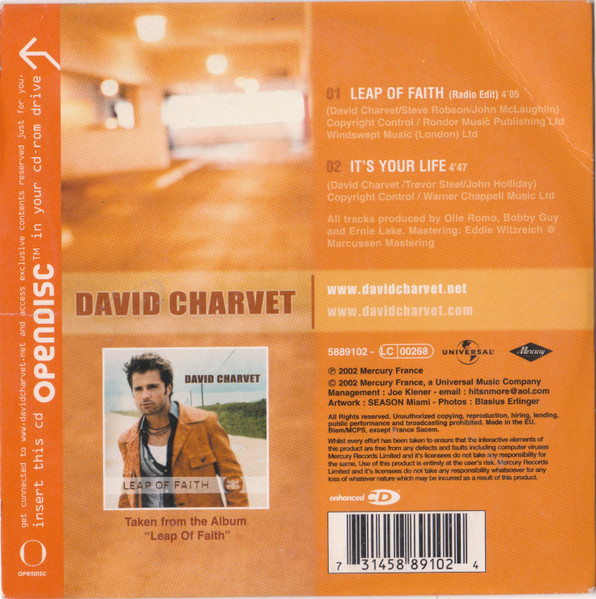 David Charvet-1