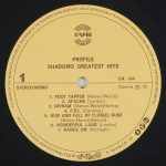 The Shadows-2