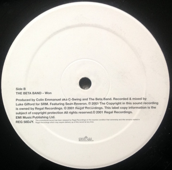The Beta Band-1