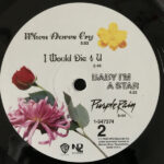 Prince And The Revolution-3