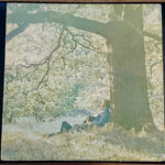 Yoko Ono / Plastic Ono Band*-0