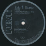 Pseudo Echo-2