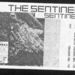 Sentinel-0