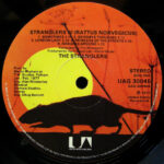 The Stranglers-2