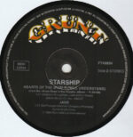 Starship (2)-4