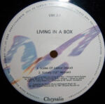 Living In A Box-2