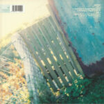 Placebo-3