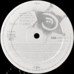 Terence Trent D'Arby-3