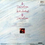 Taylor Dayne-1