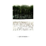 Joy Division-0