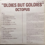 Octopus (5)-1