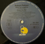 Robert Palmer-3