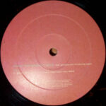 Missy "Misdemeanor" Elliott* Feat. Ginuwine & Introducing Tweet-2