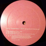 Missy "Misdemeanor" Elliott* Feat. Ginuwine & Introducing Tweet-3