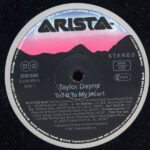 Taylor Dayne-2