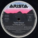Taylor Dayne-3