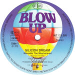 Silicon Dream-2
