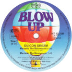 Silicon Dream-3
