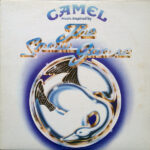 Camel-0