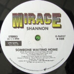 Shannon-2