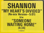 Shannon-3