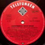 Udo Lindenberg Und Das Panikorchester-3