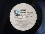 Saga (3)-2