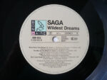 Saga (3)-3