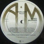 Falco-2