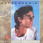 Peter Godwin-0