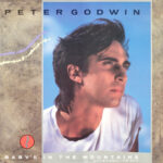 Peter Godwin-0