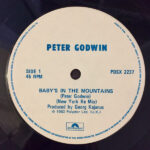 Peter Godwin-2