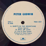 Peter Godwin-3