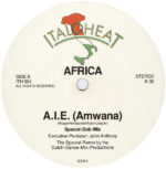 Africa (2)-4