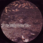 Vinylist-2