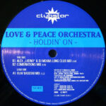 Love & Peace Orchestra-0